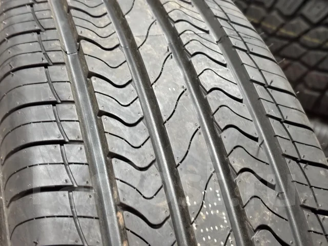Nereus Dyntrac. ������, 2026 ���, ����� ����