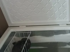���� �����������. ����
