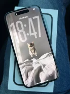 Apple iPhone 15. �/�, 256 ��, ������, 3G, 4G LTE, 5G, Dual-SIM, ����������, NFC, eSIM, ������� �������, ������������ ������� ����