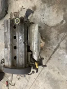 ��������� Ford escort 2000 1LH ����