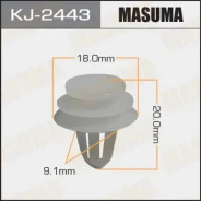 ������ KJ2443 KJ2443 ����