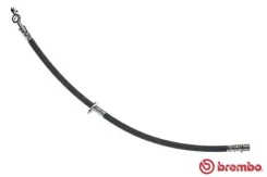 ����� ��������� T83013, �������� ������ T83013 ����