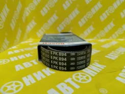 ������ ������������ 6PK894 6PK894 ����