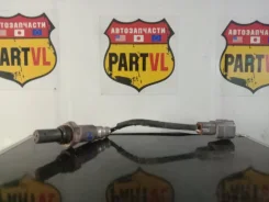 ������ ��������� Toyota Tundra 2008 894650C190 USK56 3UR-FE, ������ 894650C190 ����