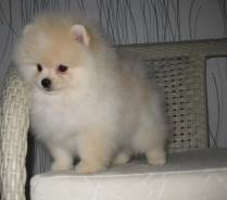 ����������� ����. ��� ����� �� ���������� ����