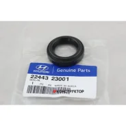 ����������� �������� ������� (2244323000 ) Hyundai-KIA 2244323001 2244323001 ����