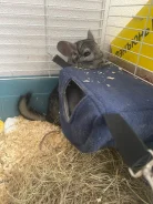 ��������. ����