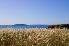 ������. ���� "����� ��������". ����� ��������� ����