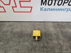 ���� ������ ������ 391603X100 391603X100 ����