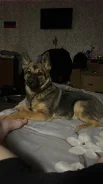 ������. ����