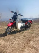 Suzuki Birdie. 50����. ��., ��������, ���������, ������ �� �� ����