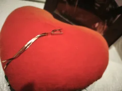 �������� ������ ����