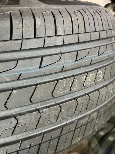 ZMax Zealion. ������, 2024 ���, ����� ����