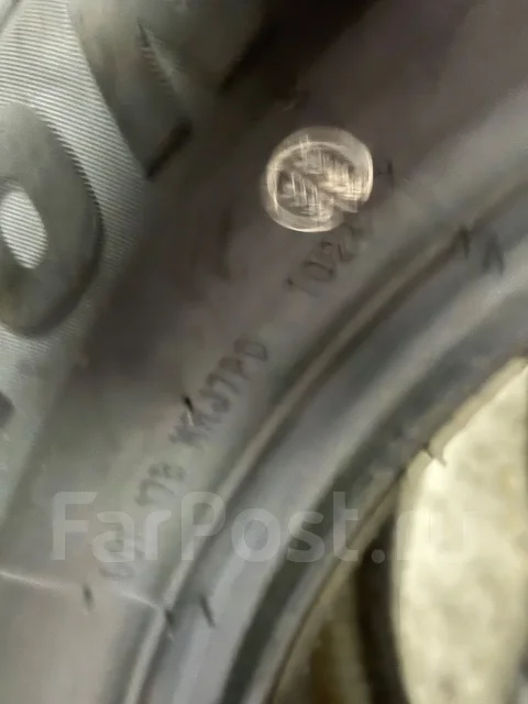 ZMax Zealion. ������, 2024 ���, ����� ����