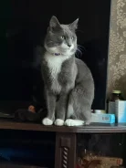 �����. ����