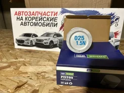 ������� Daewoo Nexia 1994-2016 NP1013 N100 NP1013 ����