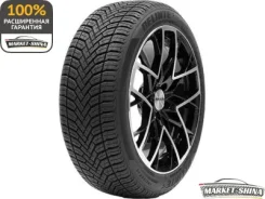 Delinte AW6