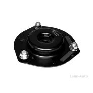 ����� ������������ F31TR0064 ����