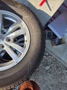Falken Sincera SN250 A/S. ������, 2024 ���, ����� ����