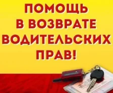 ������� ������������ ����. ����