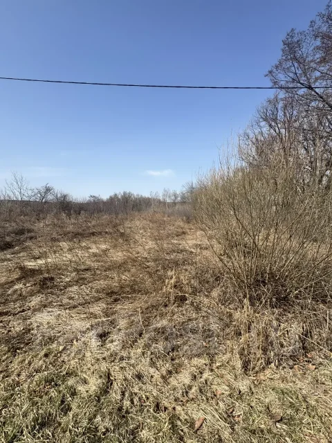 ������ �������. 20����., ��� ������� ������� ���������� ���������, �������������, ������������� ����
