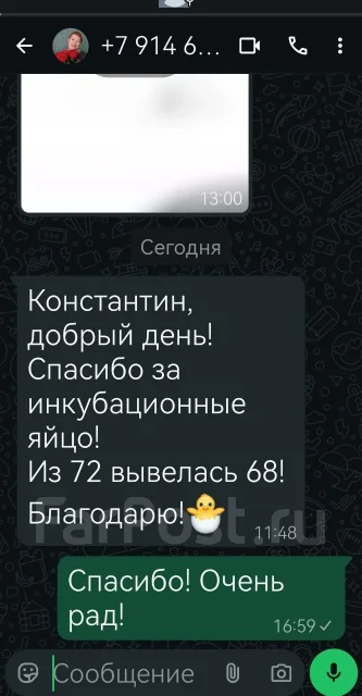 ������������� ���� ���. ����