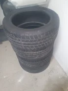 ZMax Zealion. ������, 2024 ���, �/�, ����� 10 % ����