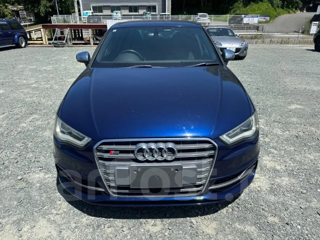 Audi S3. 8V, CJX ����