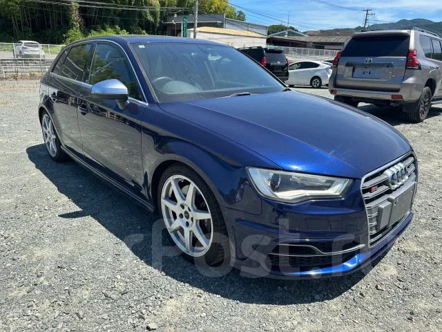 Audi S3. 8V, CJX ����