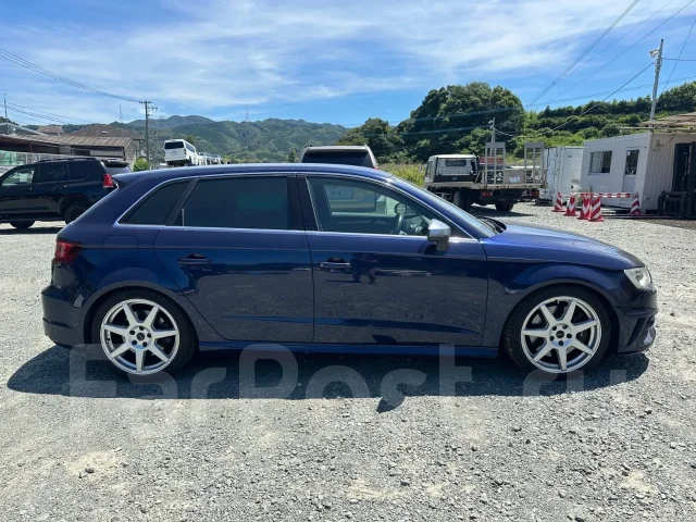 Audi S3. 8V, CJX ����