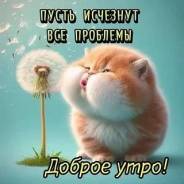 ����� ������ ������� ����� � ��������� � ������� ����