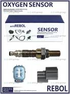 ������ ����������� A/F (�������������� ����� 1.5 �� ������ 310��). Rebol 36531-PLE-003 / Rebol 36531PLE003 ����