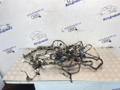 �������� ��� ������� Ford Focus 2011 1756029 CB8 IQDB 1756029 ����