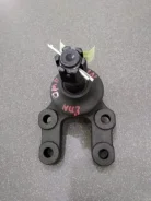 ������� ����� Nissan Atlas 401603T426 F23, �������� 401603T426 ����