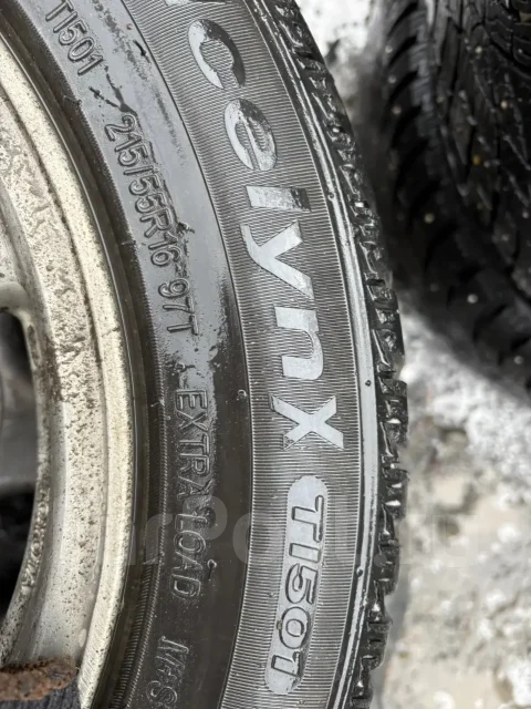 Triangle IcelynX TI501. ������, ����������, 2025 ���, �/�, ����� 20 % ����