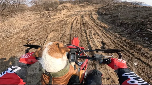 ����-������-������. ����