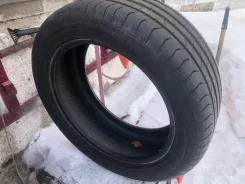 Sava Intensa. ������, 2019 ���, �/�, ����� 10 % ����