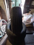 Dunlop e.Sport Maxx. ������, 2020 ���, �/�, ����� 15 % ����