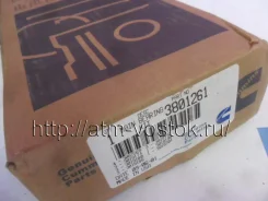 �������� ��������� �������� Cummins NT855, N14 0,25 3801261 3801261 ����