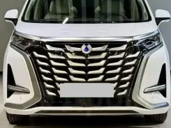 Denza D9 ���� ����� ����