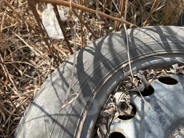 Bridgestone. ������, �/�, ����� 10 % ����