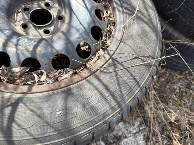 Bridgestone. ������, �/�, ����� 10 % ����