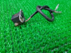 ������ ������� ��������� TOHATSU MFS18B2 3H8060710 ����