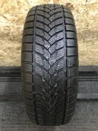 Lassa Competus Winter