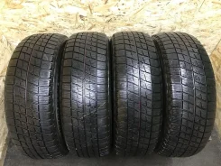 Bridgestone Ice Partner