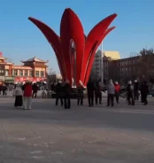 ���� � ����� �� ���������� ����