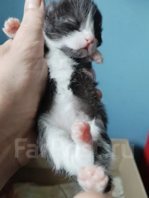 ������. ����