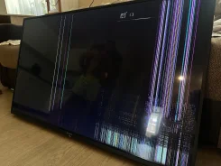 Sony ����
