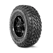 Nexen Roadian MTX RM7