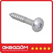 ����� BIS RapidRail Torx TX30 6�40�� ����